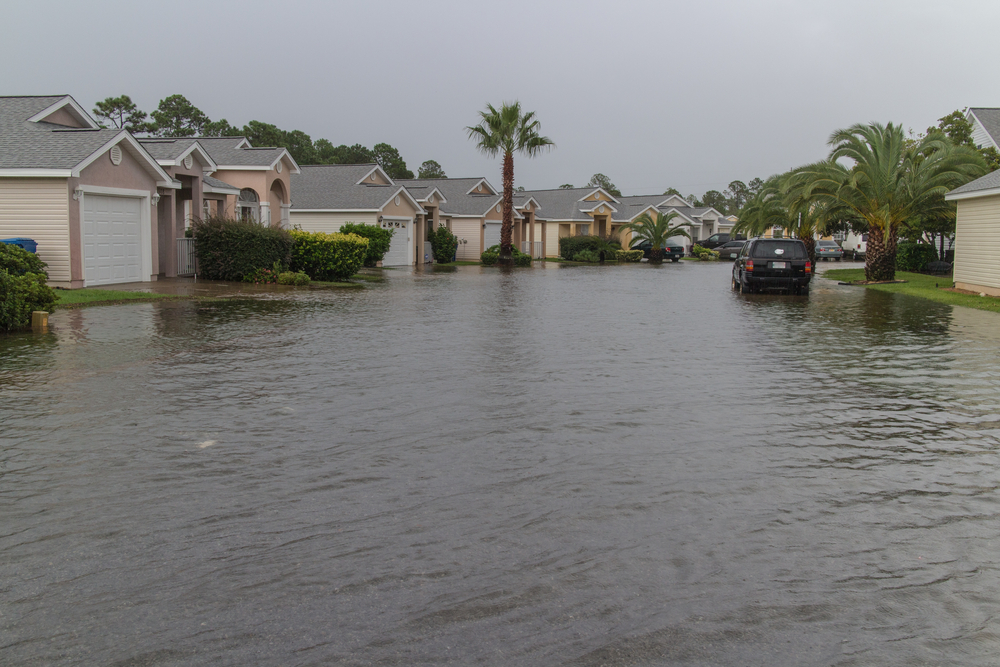 Flooded,Neighborhood,Streets