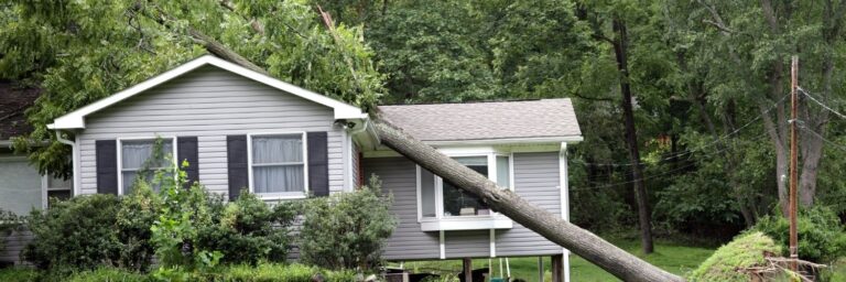 does insurance cover tree falling on house